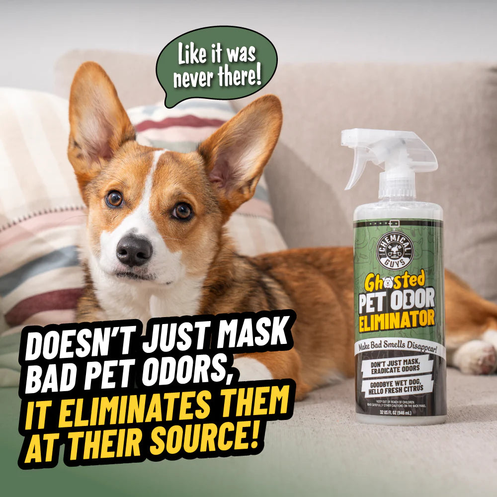 Chemical Guys Ghosted Pet Odor Eliminator - Image 2