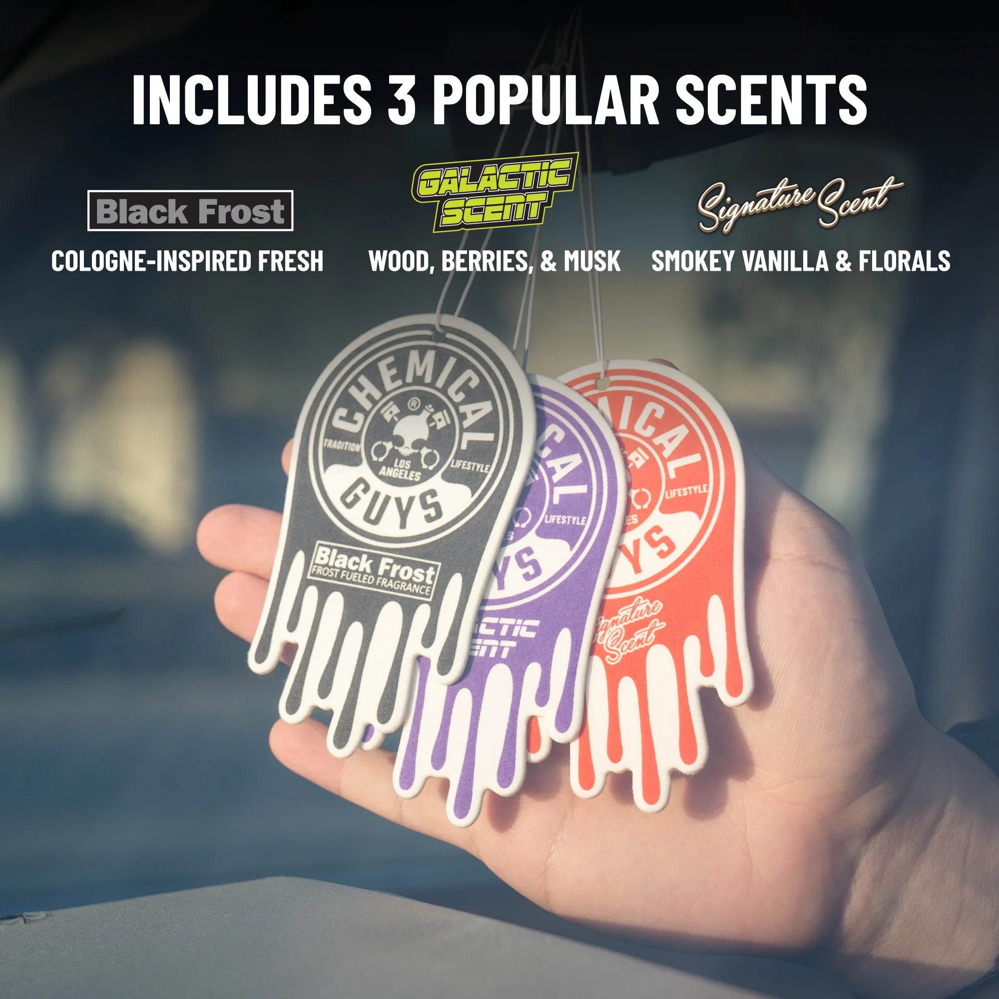 Chemical Guys Hanging Air Freshener Variety Pack - Image 5