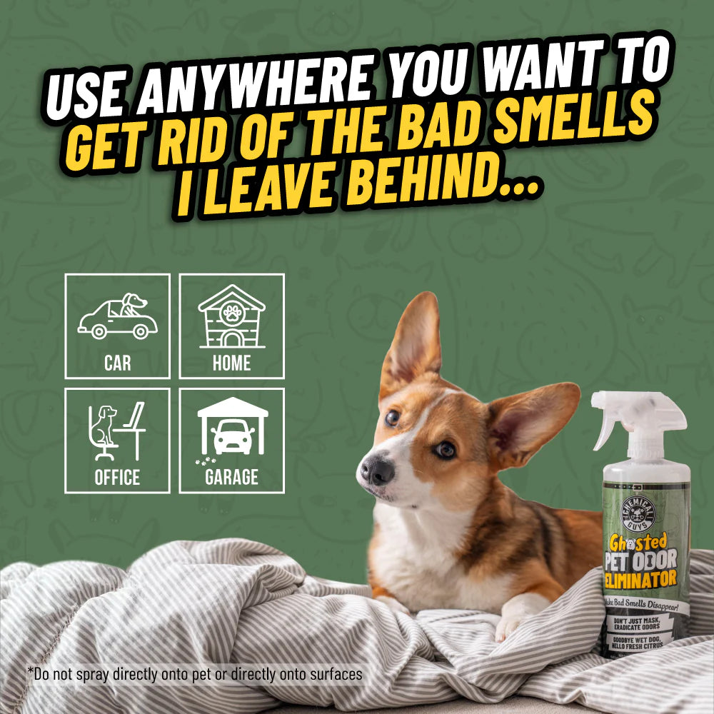 Chemical Guys Ghosted Pet Odor Eliminator - Image 3
