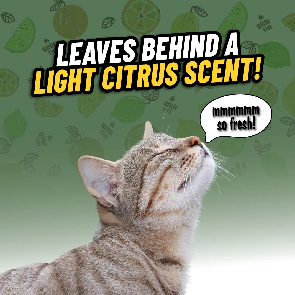 Chemical Guys Ghosted Pet Odor Eliminator - Image 5