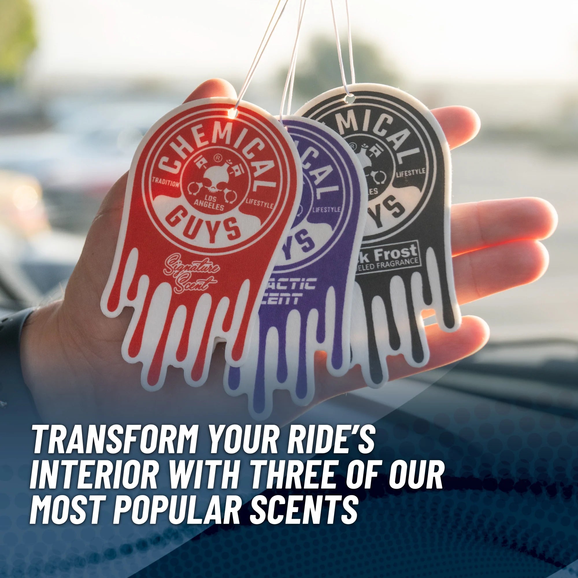 Chemical Guys Hanging Air Freshener Variety Pack - Image 3