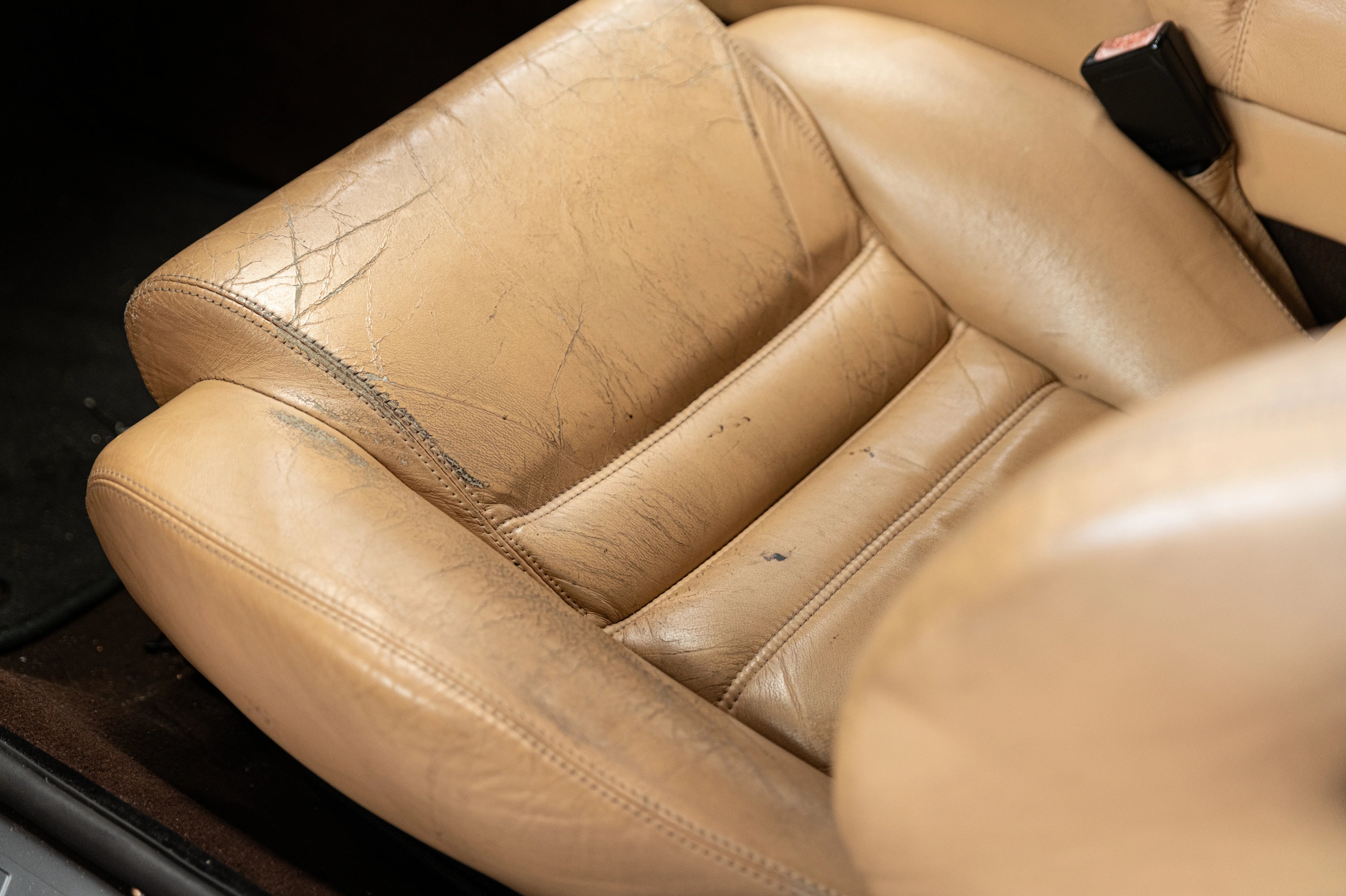 Chemical Guys Leather Conditioner - Image 14
